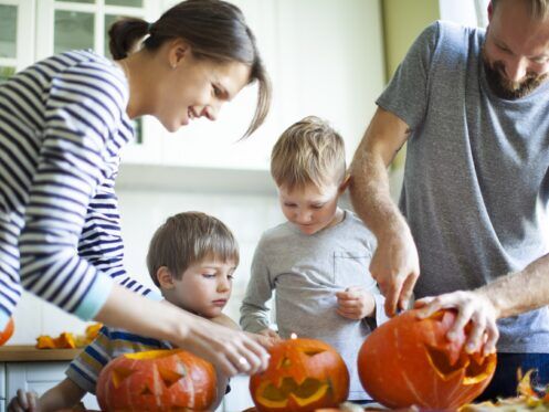 Electrical Inspections in Fenton, MO